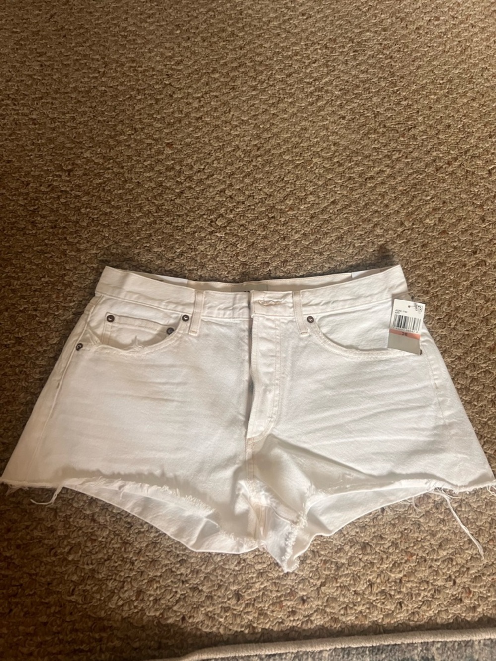 NWT Agolde Parker short